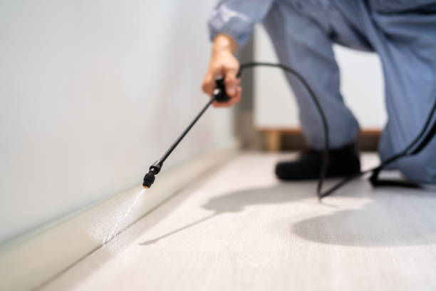 Bed Bug Pre-Treatment Preparation Assessment in Alto